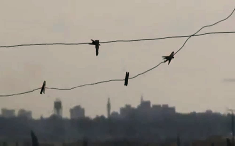 シリア・モナムールの画像