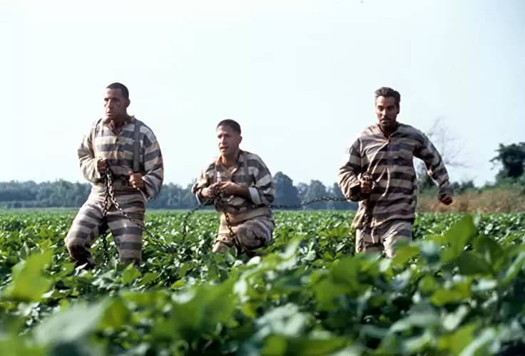 「オー・ブラザー！」ジョージ・クルーニー & ジョン・タトゥーロ & ティム・ブレイク・ネルソンの画像