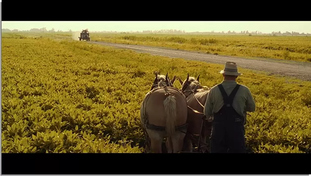 オー・ブラザー！の画像