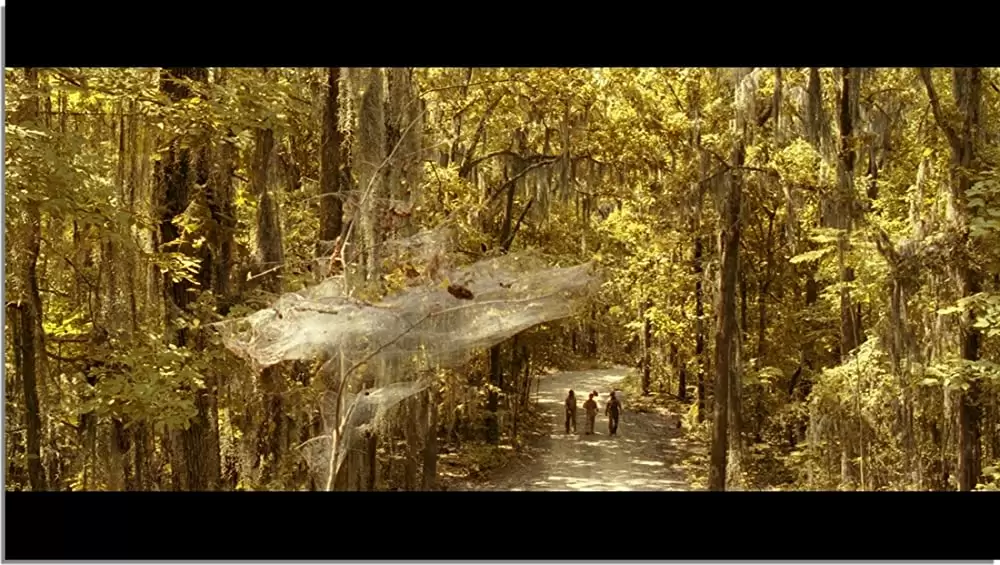 オー・ブラザー！の画像