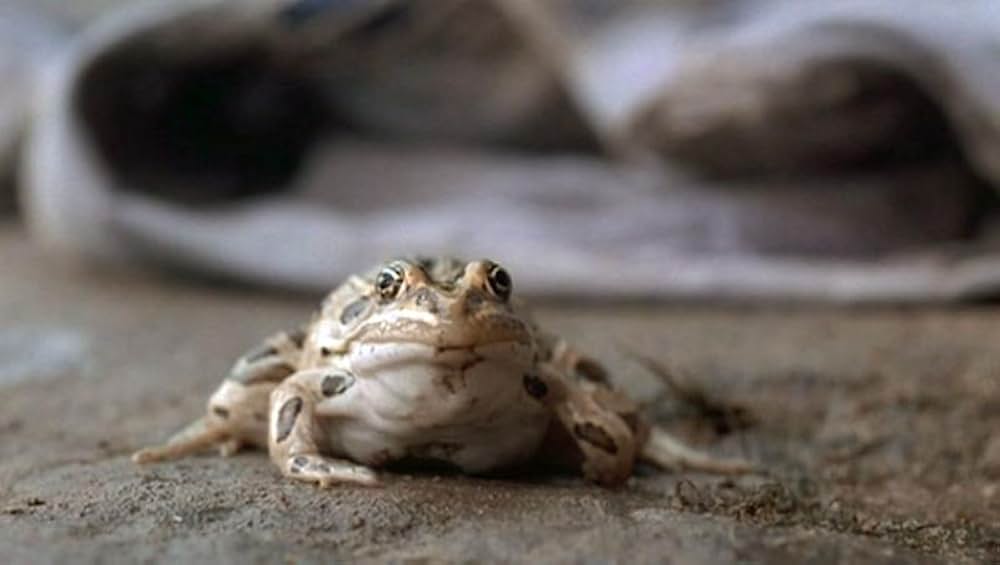 「オー・ブラザー！」の画像