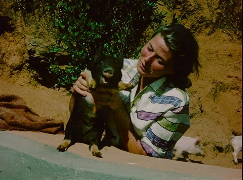 イングリッド・バーグマン 愛に生きた女優の画像