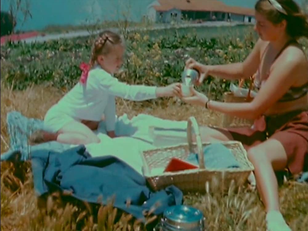 イングリッド・バーグマン 愛に生きた女優の画像