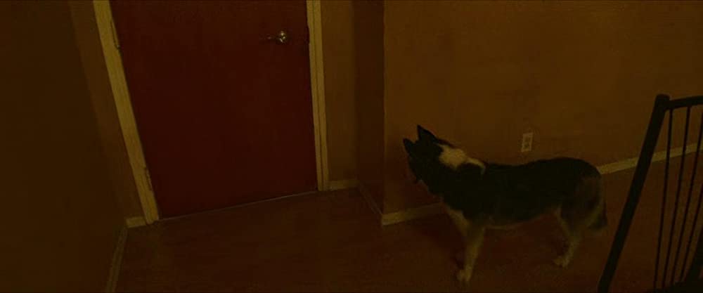 タンジェリンの画像