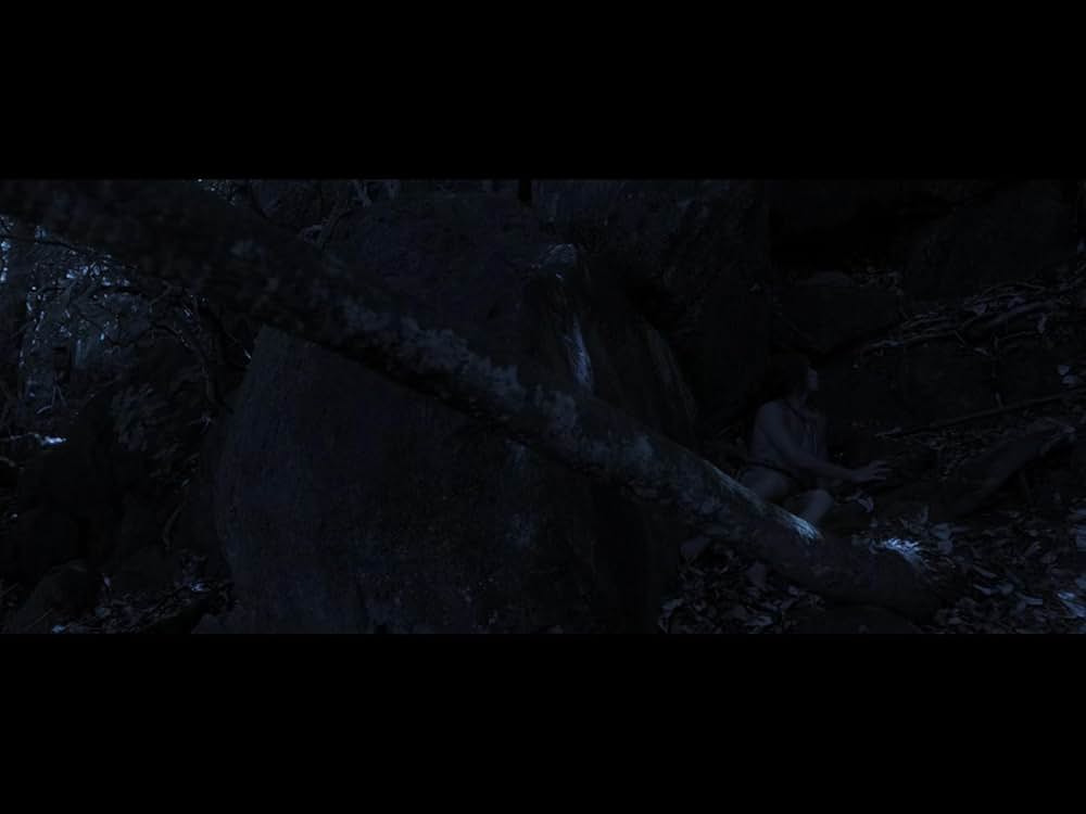 ザ・ラスト・ウォーリアーの画像