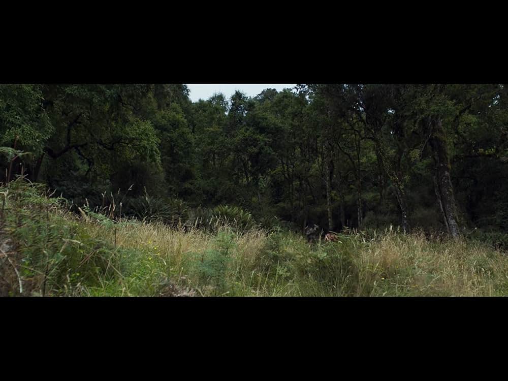 ザ・ラスト・ウォーリアーの画像