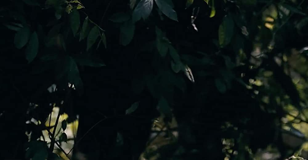 ディーパンの闘いの画像