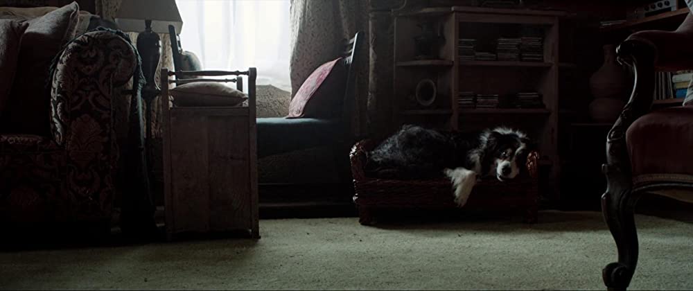 ザ・ハロウ 侵蝕の画像