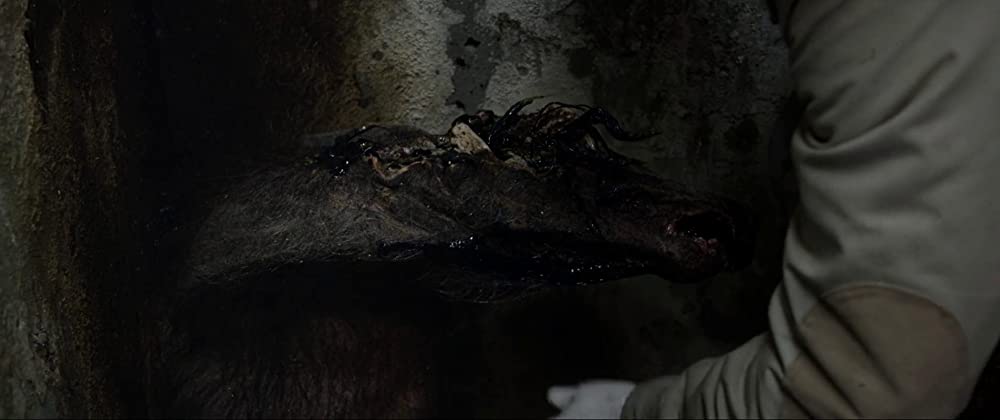 ザ・ハロウ 侵蝕の画像