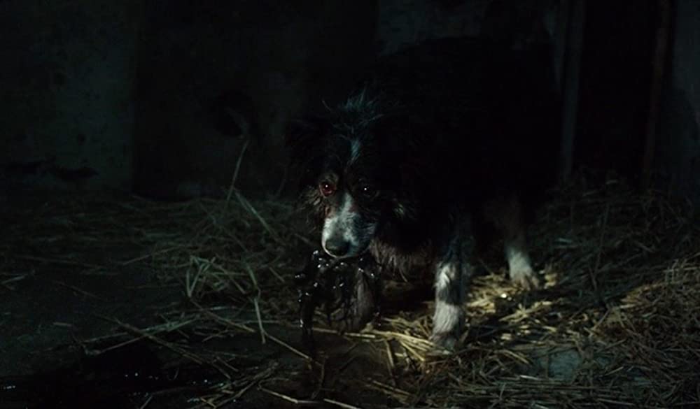 ザ・ハロウ 侵蝕の画像