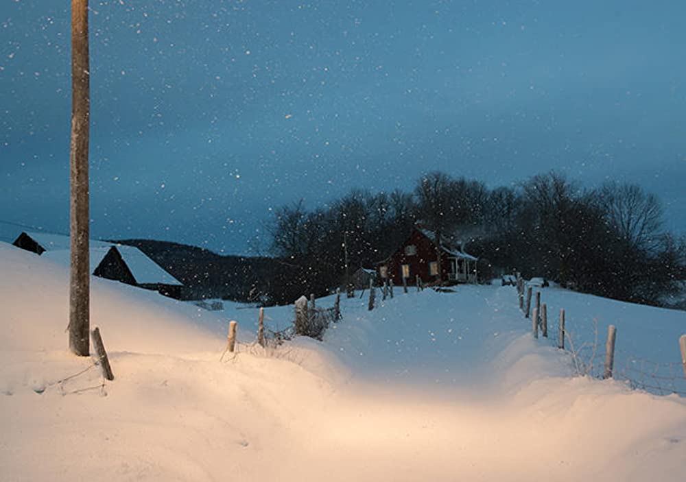 誰のせいでもないの画像