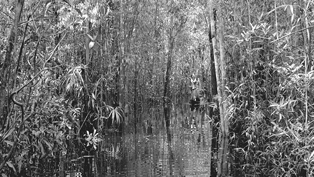 彷徨える河の画像