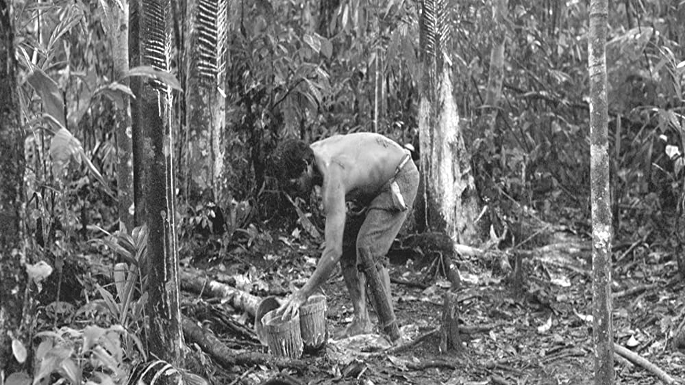 彷徨える河の画像