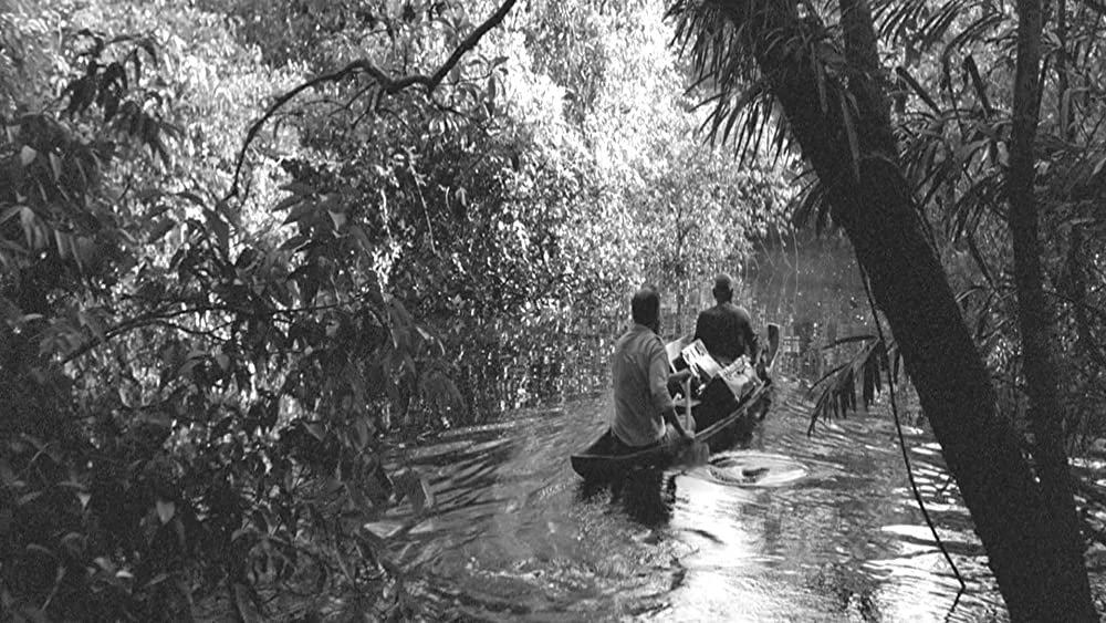 彷徨える河の画像