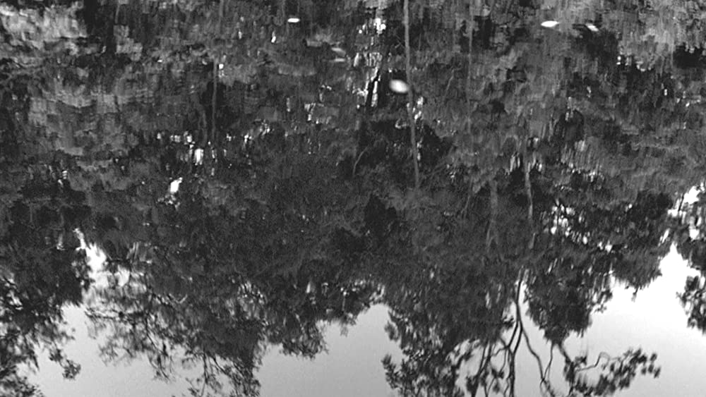 彷徨える河の画像