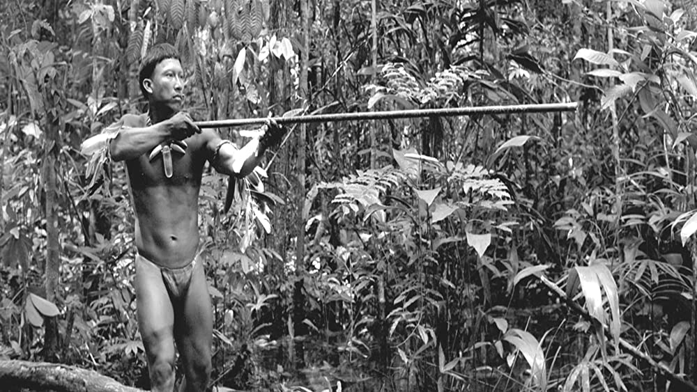 彷徨える河の画像