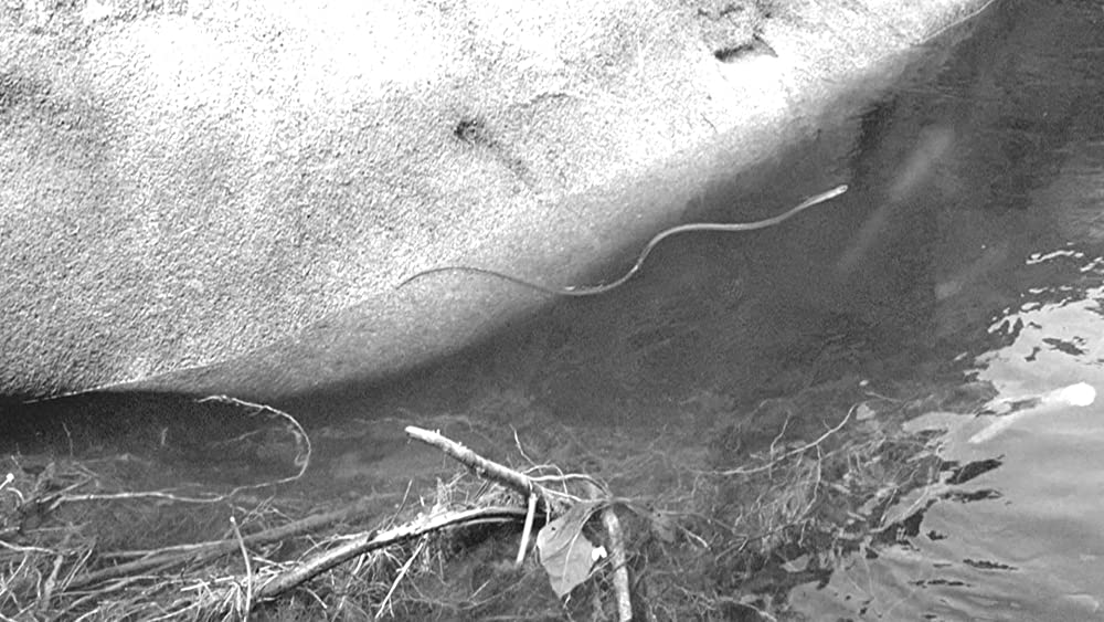 彷徨える河の画像