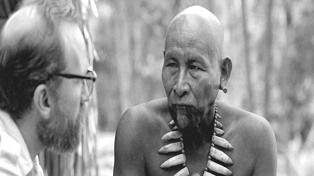 彷徨える河の画像