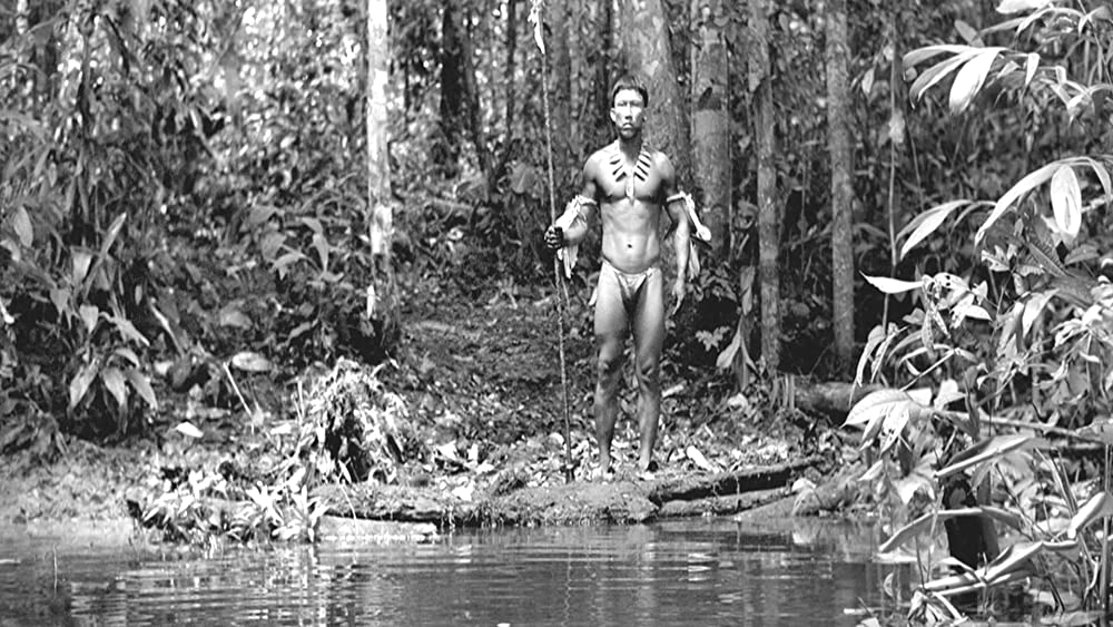 彷徨える河の画像