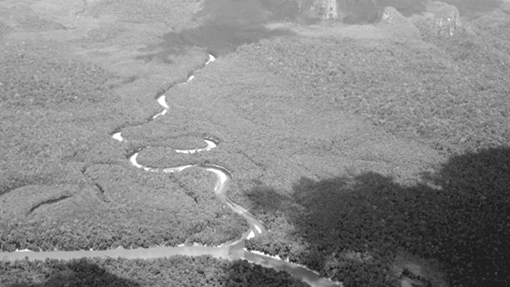 彷徨える河の画像