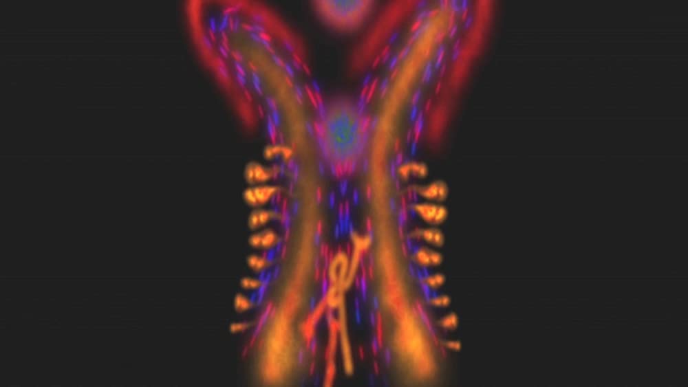 彷徨える河の画像