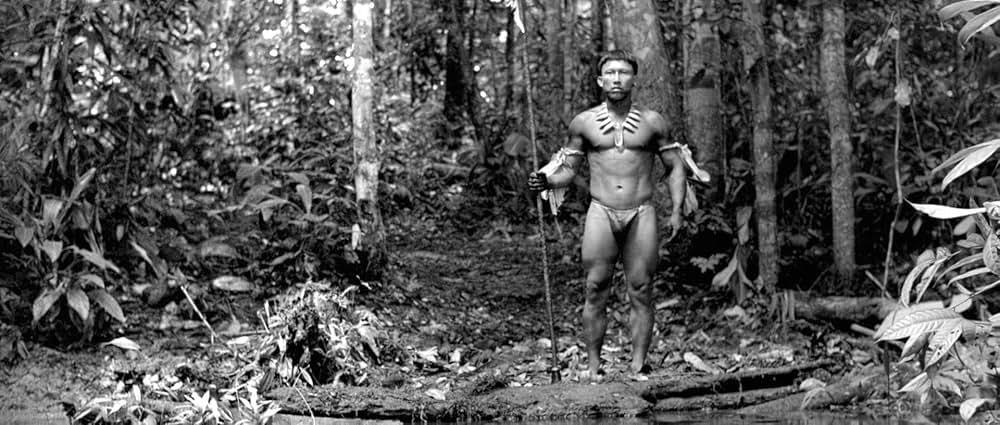 彷徨える河の画像