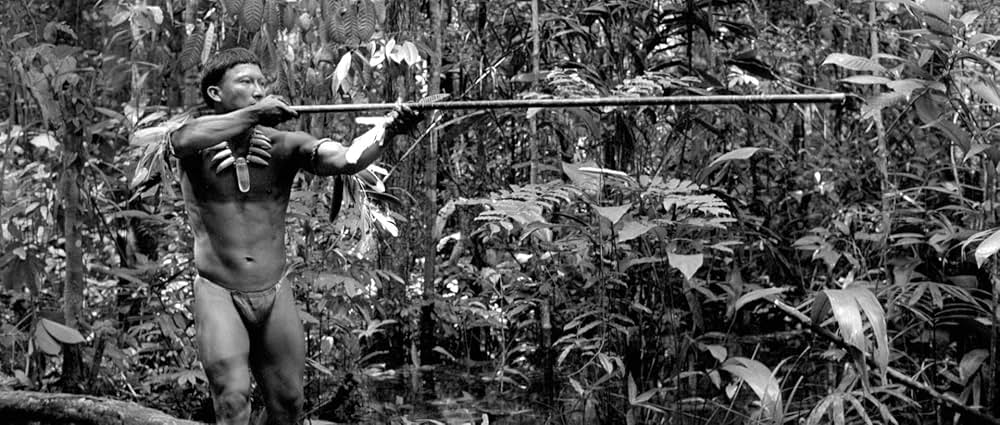 彷徨える河の画像