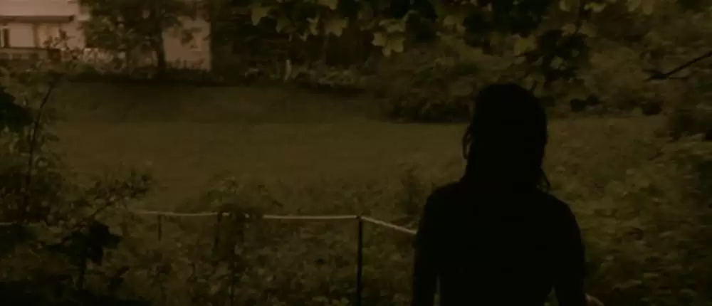 ダンサー・イン・ザ・ダーク 4Kデジタルリマスター版の画像