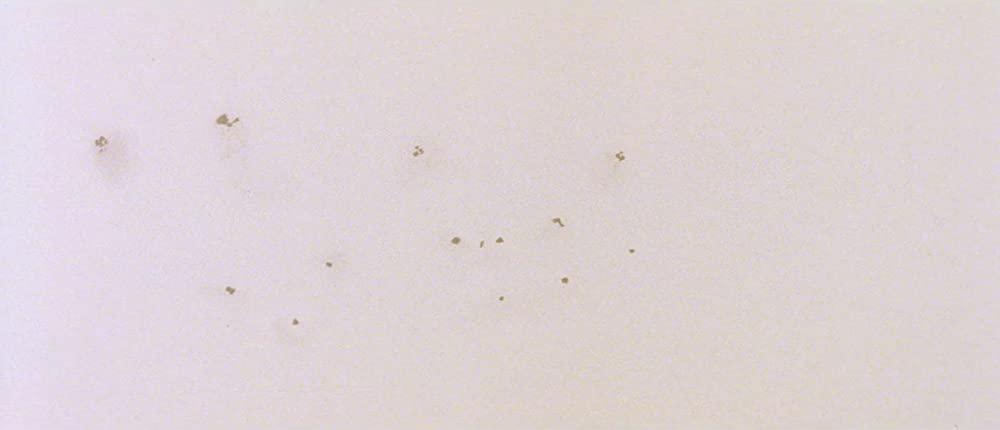 ダンサー・イン・ザ・ダーク 4Kデジタルリマスター版の画像