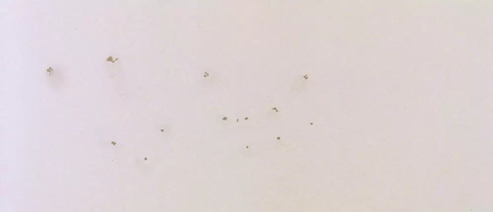 ダンサー・イン・ザ・ダーク 4Kデジタルリマスター版の画像