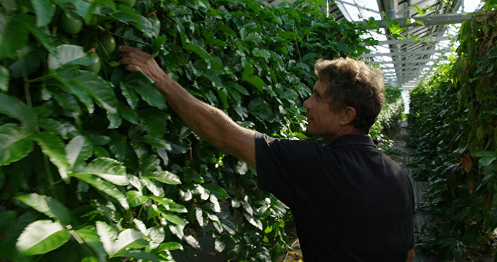 TOMORROW パーマネントライフを探しての画像