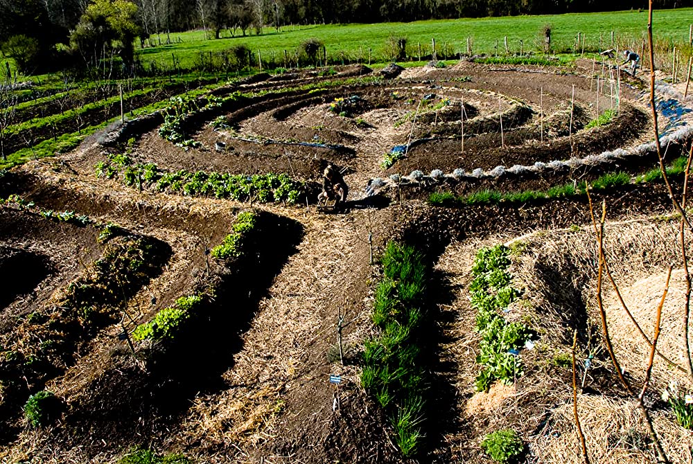 TOMORROW パーマネントライフを探しての画像