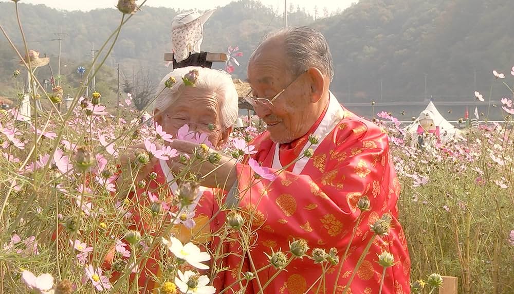 あなた、その川を渡らないでの画像