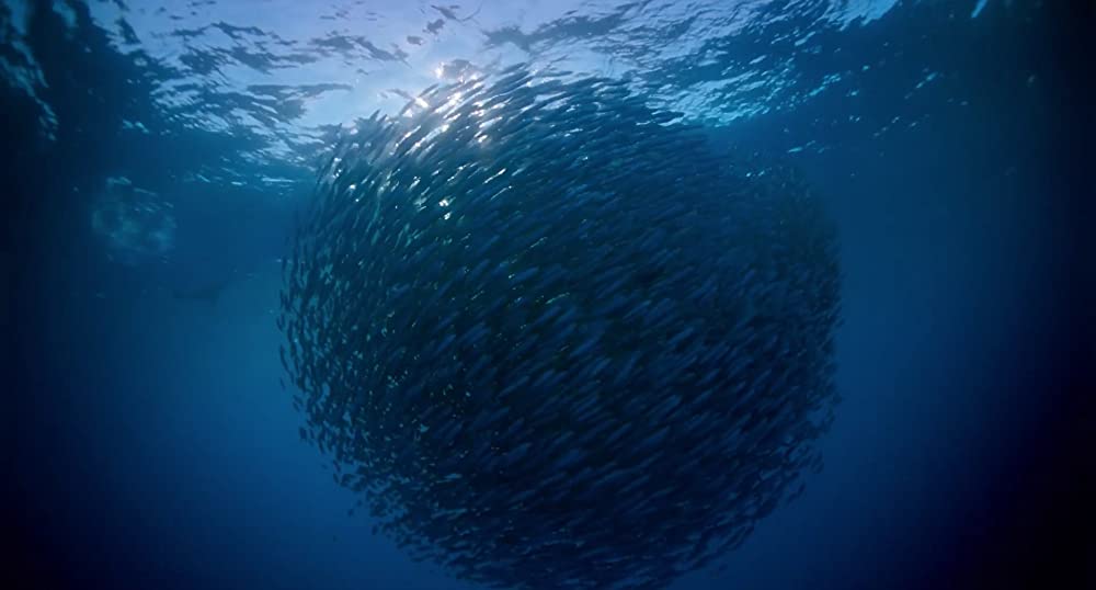 ボヤージュ・オブ・タイムの画像