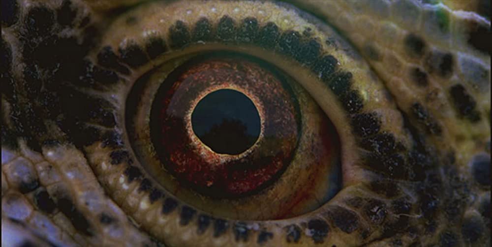 ボヤージュ・オブ・タイムの画像