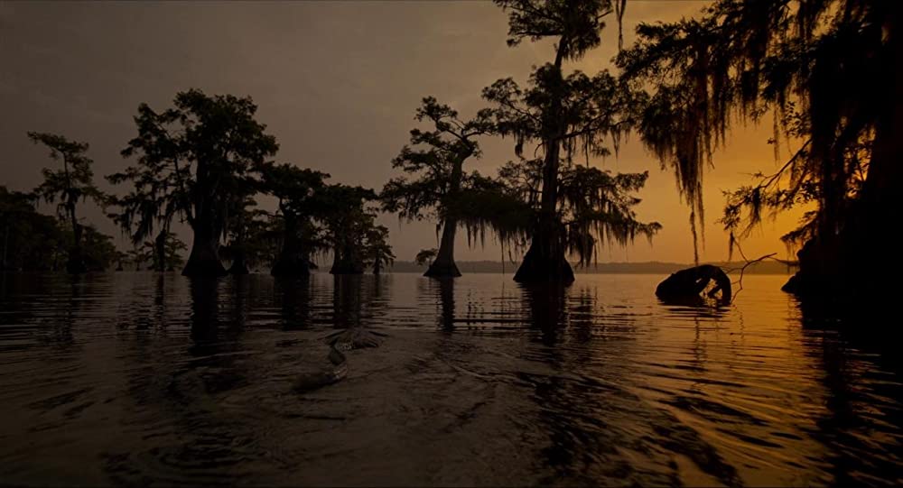 ボヤージュ・オブ・タイムの画像