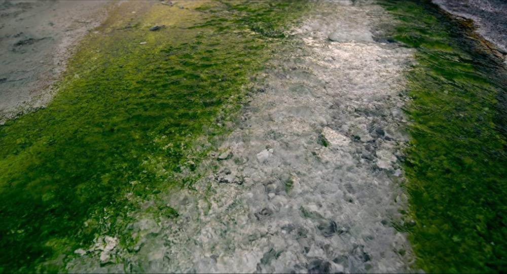 ボヤージュ・オブ・タイムの画像