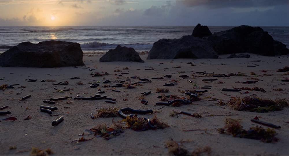 ボヤージュ・オブ・タイムの画像