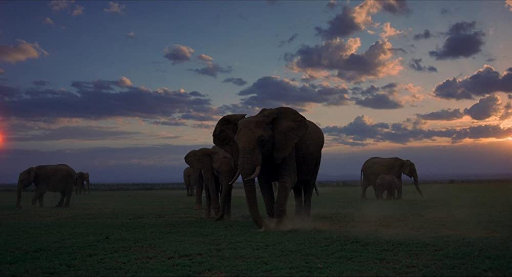 ボヤージュ・オブ・タイムの画像