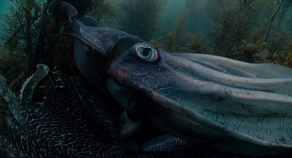 ボヤージュ・オブ・タイムの画像