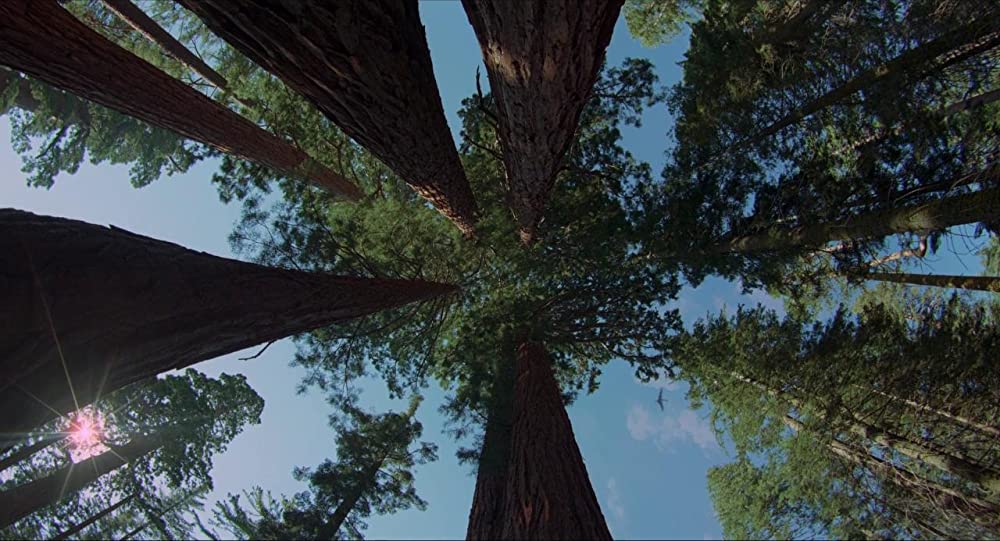 ボヤージュ・オブ・タイムの画像