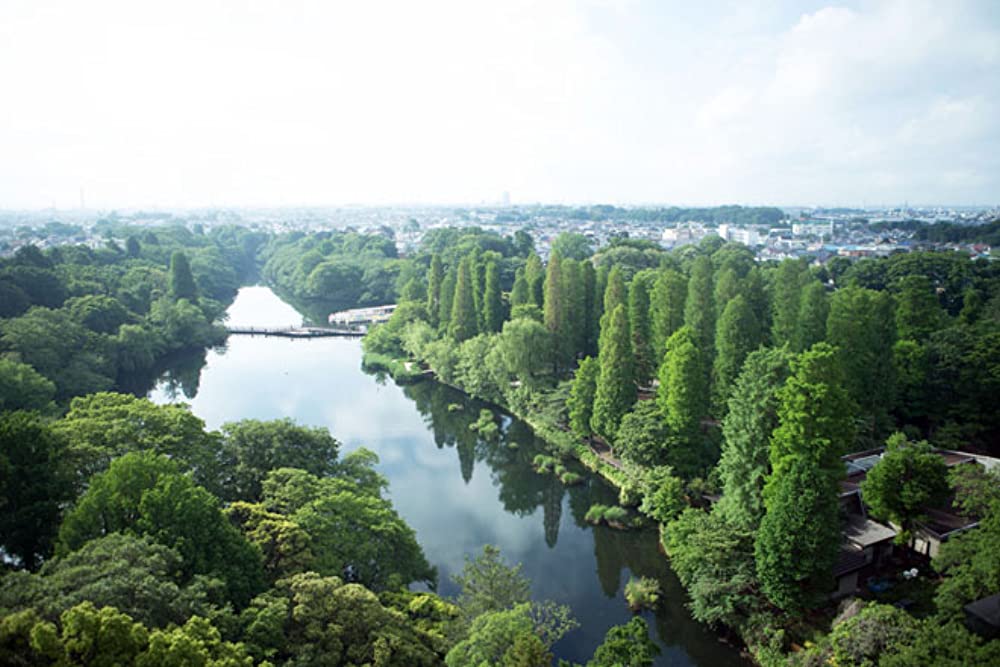 PARKS パークスの画像