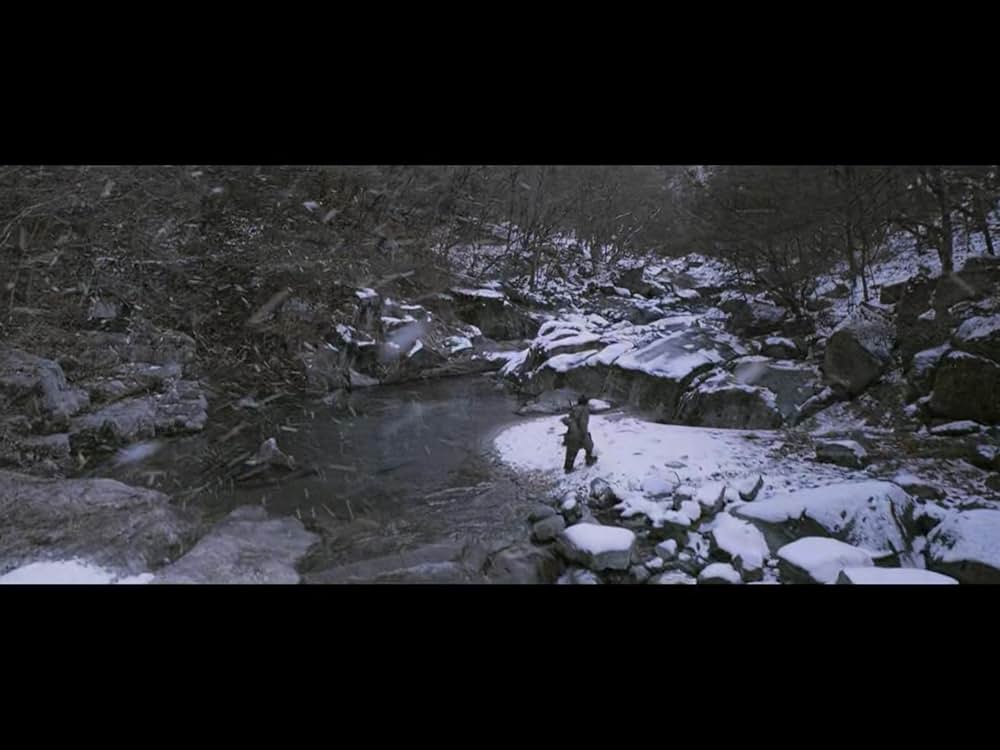 隻眼の虎の画像