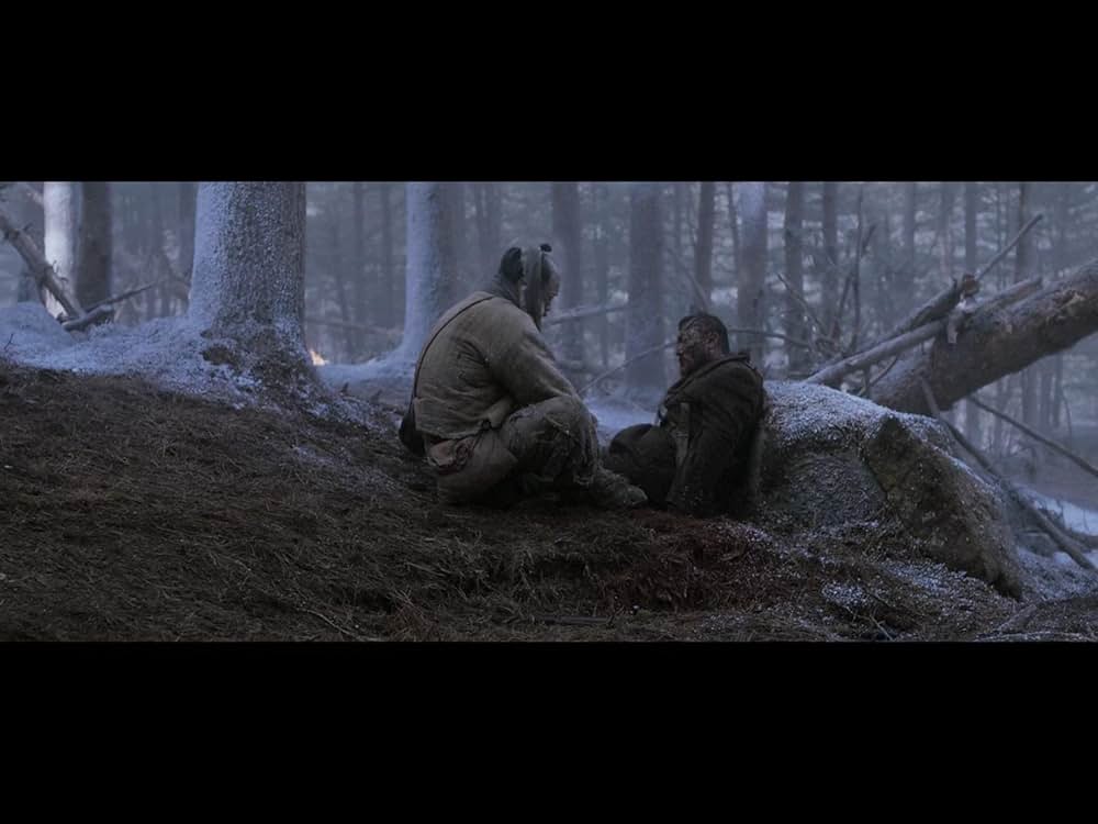 隻眼の虎の画像