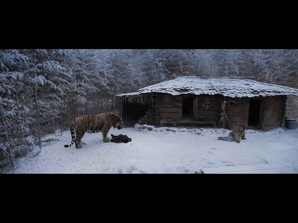 隻眼の虎の画像