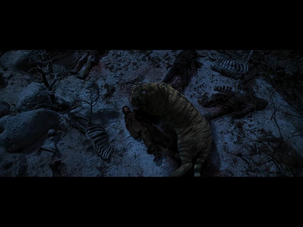 隻眼の虎の画像