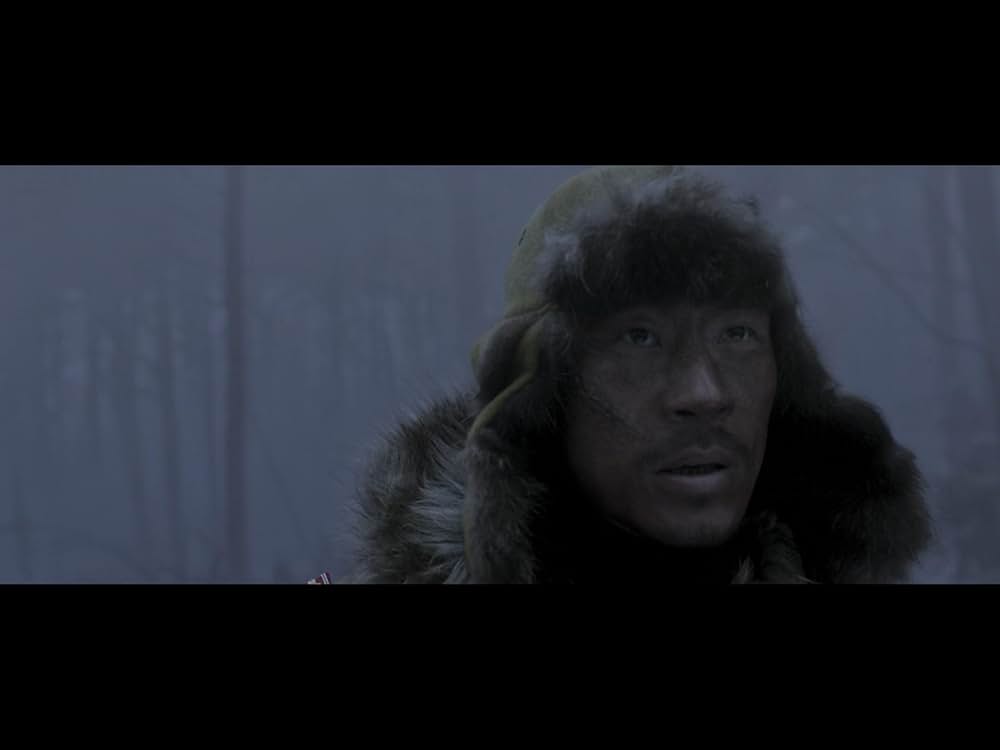 隻眼の虎の画像