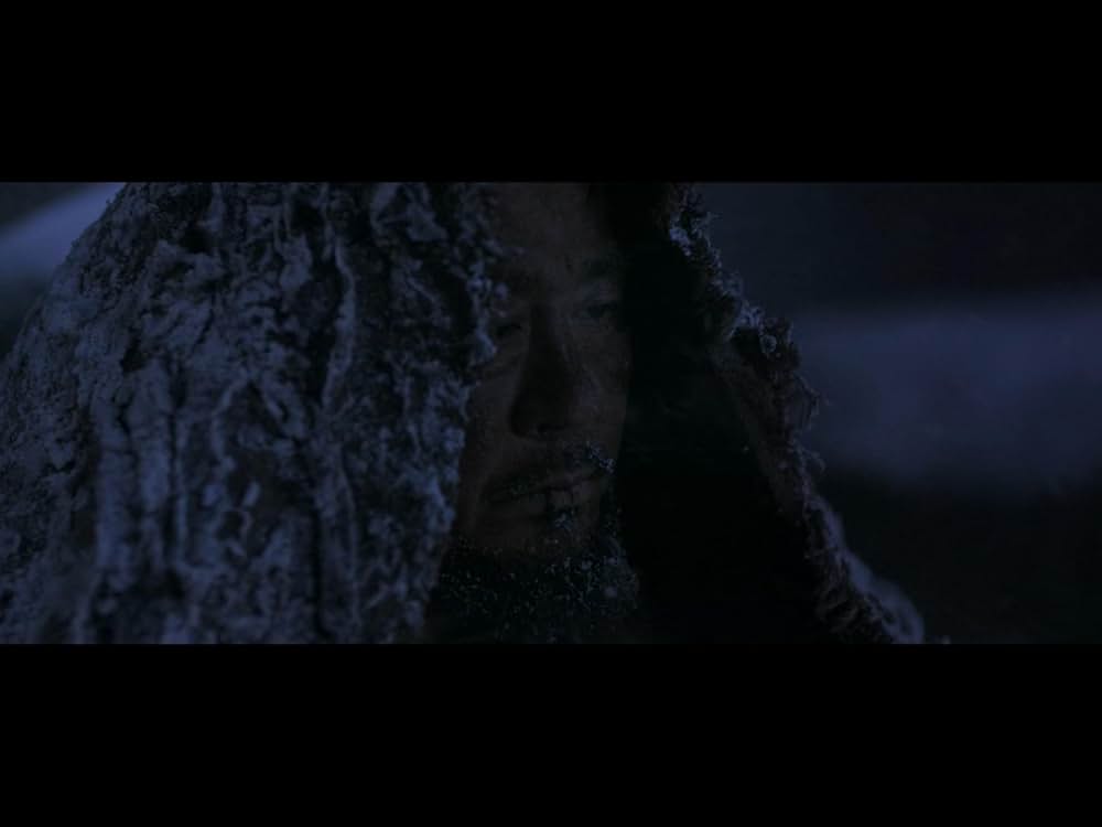 隻眼の虎の画像