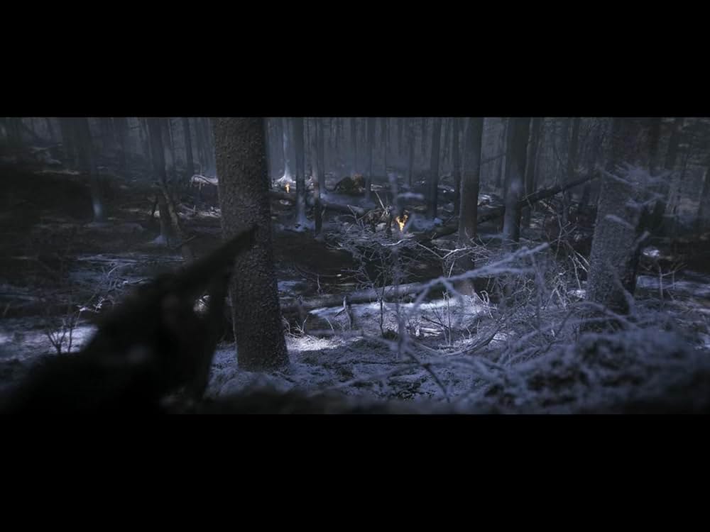 隻眼の虎の画像