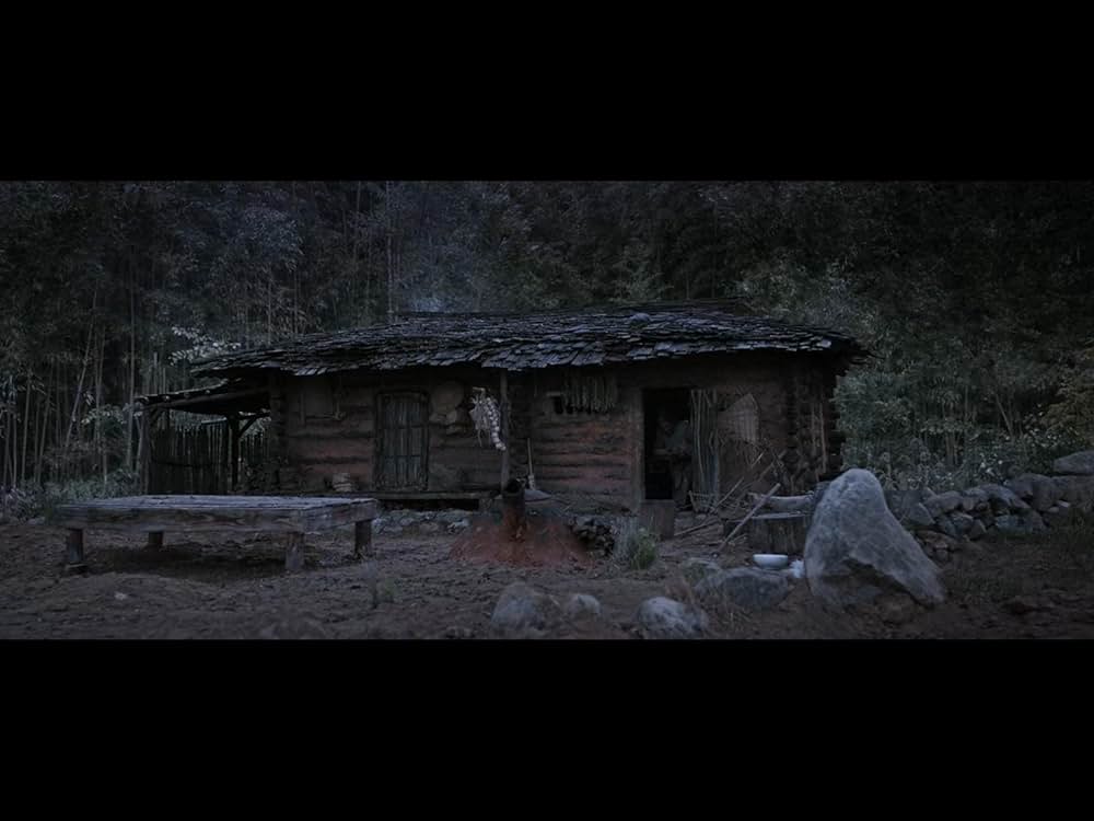 隻眼の虎の画像